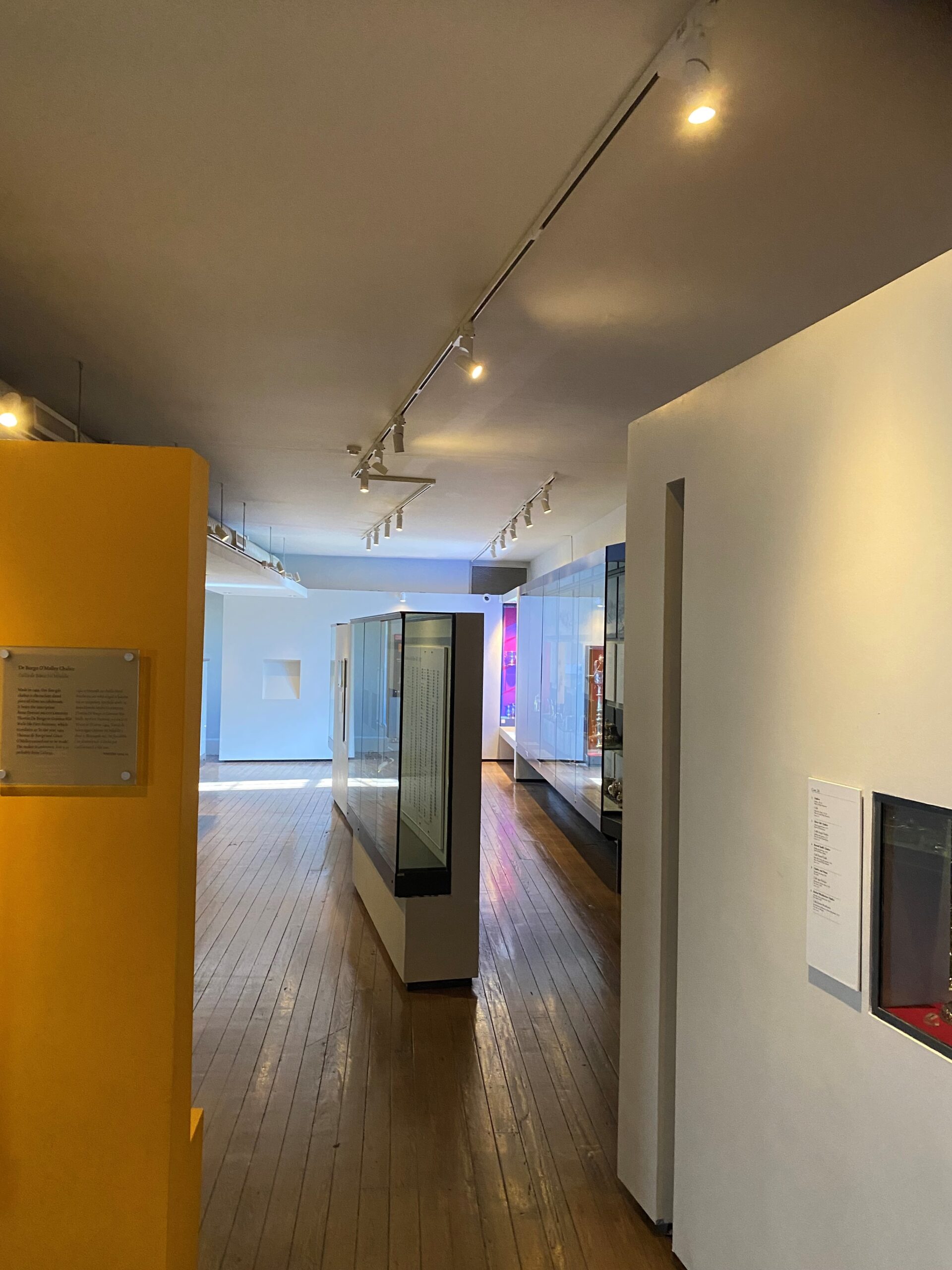 Irish National Gallery corridor with ENCORE FLEX track lights accenting silverware display vitrines