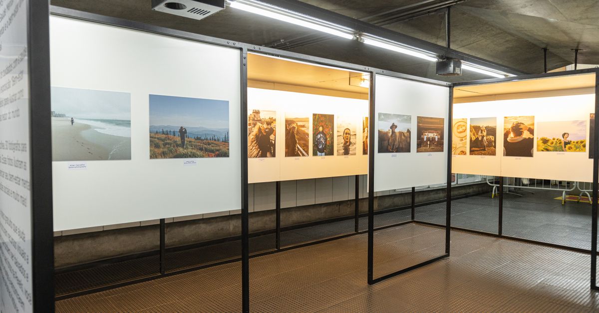 Beam angle track lighting showcasing a modern photography exhibition