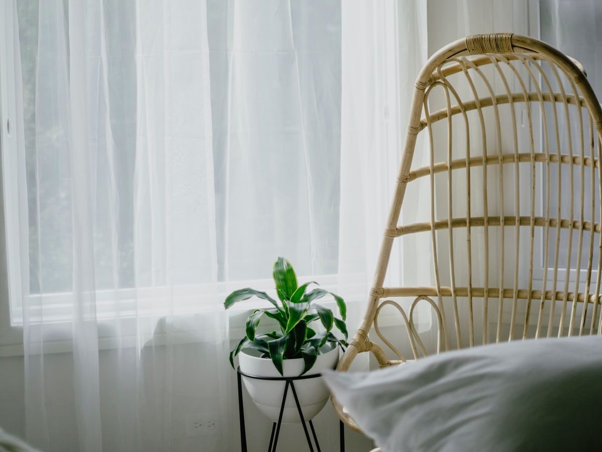Rattan chair and potted plant by a window in a boho room with warm LED lighting and accurate high CRI colour rendition